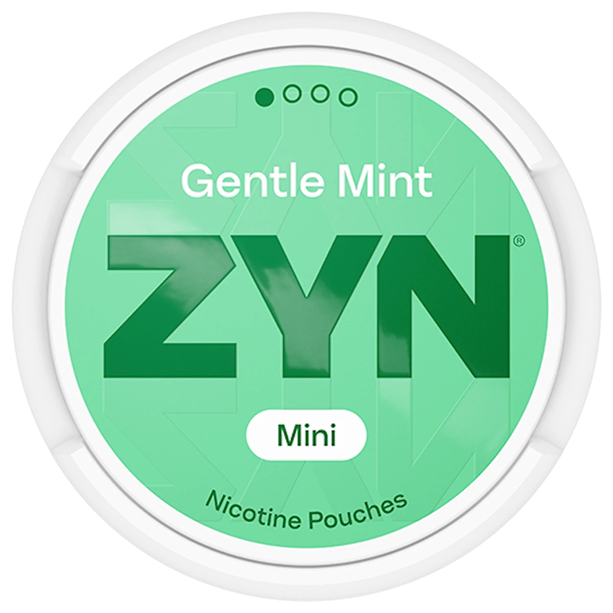 ZYN Gentle Mint Mini Moist Low