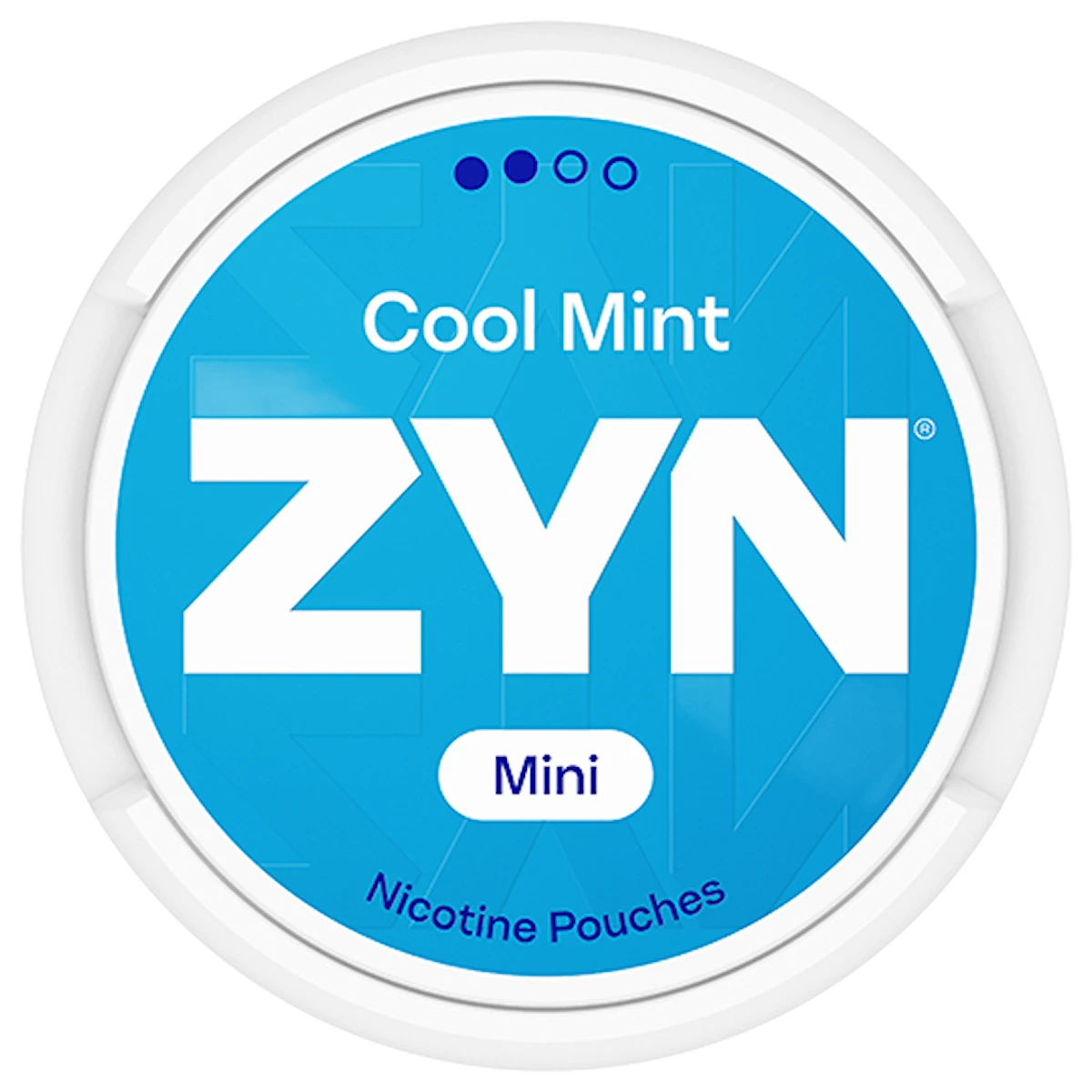 ZYN Cool Mint Mini Normal
