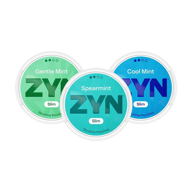 ZYN Mixpaket Mint Normal