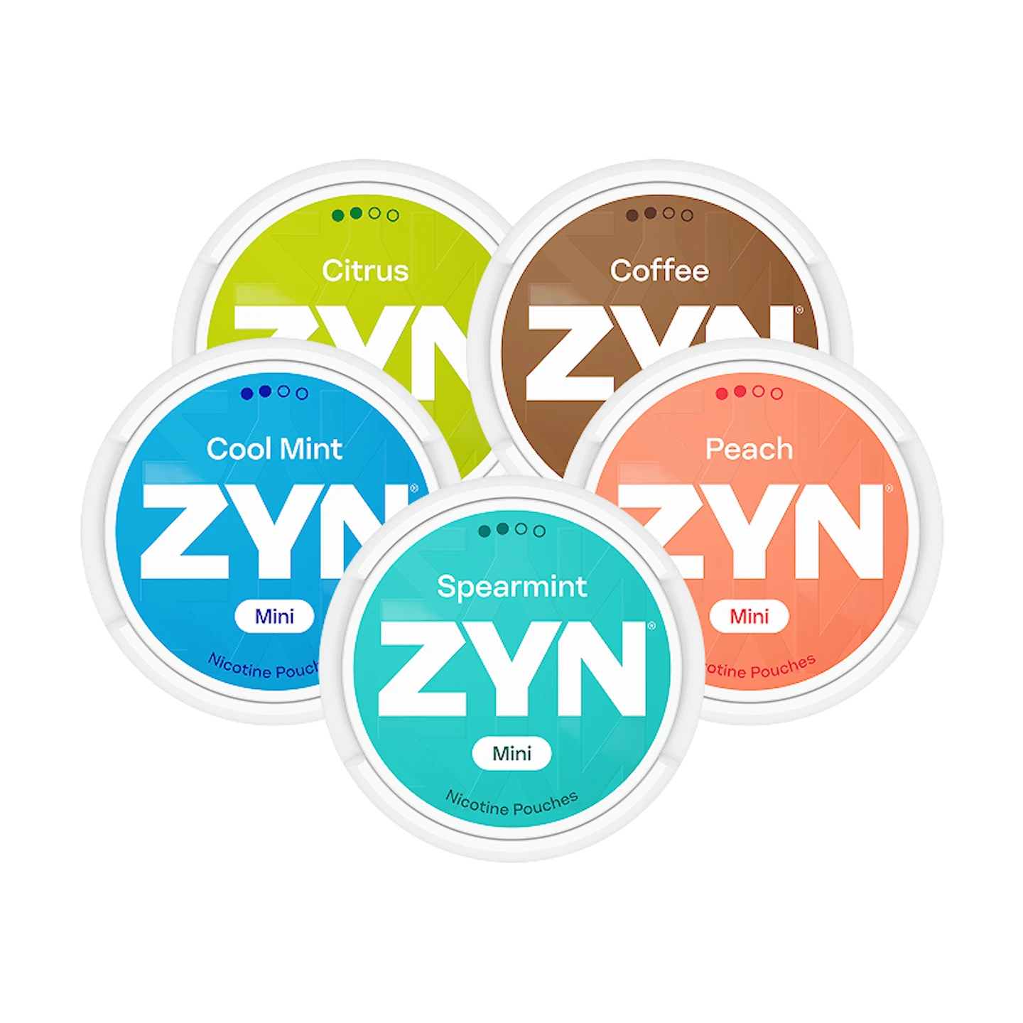 ZYN Mixpaket Mini Normal x5