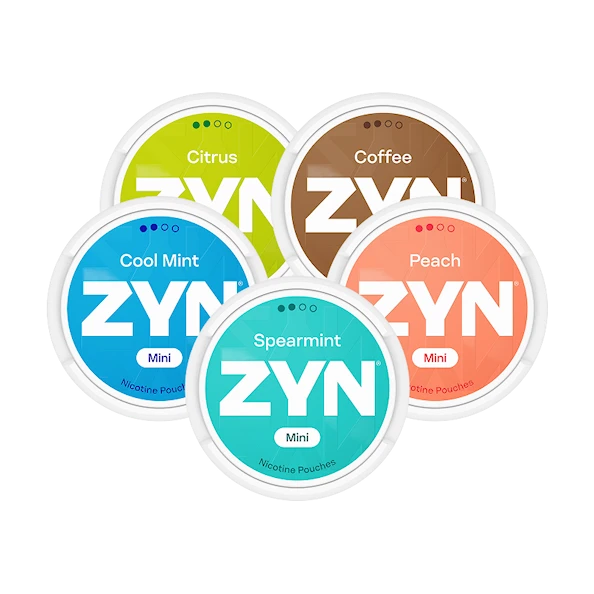 ZYN Mixpaket Mini Normal x5