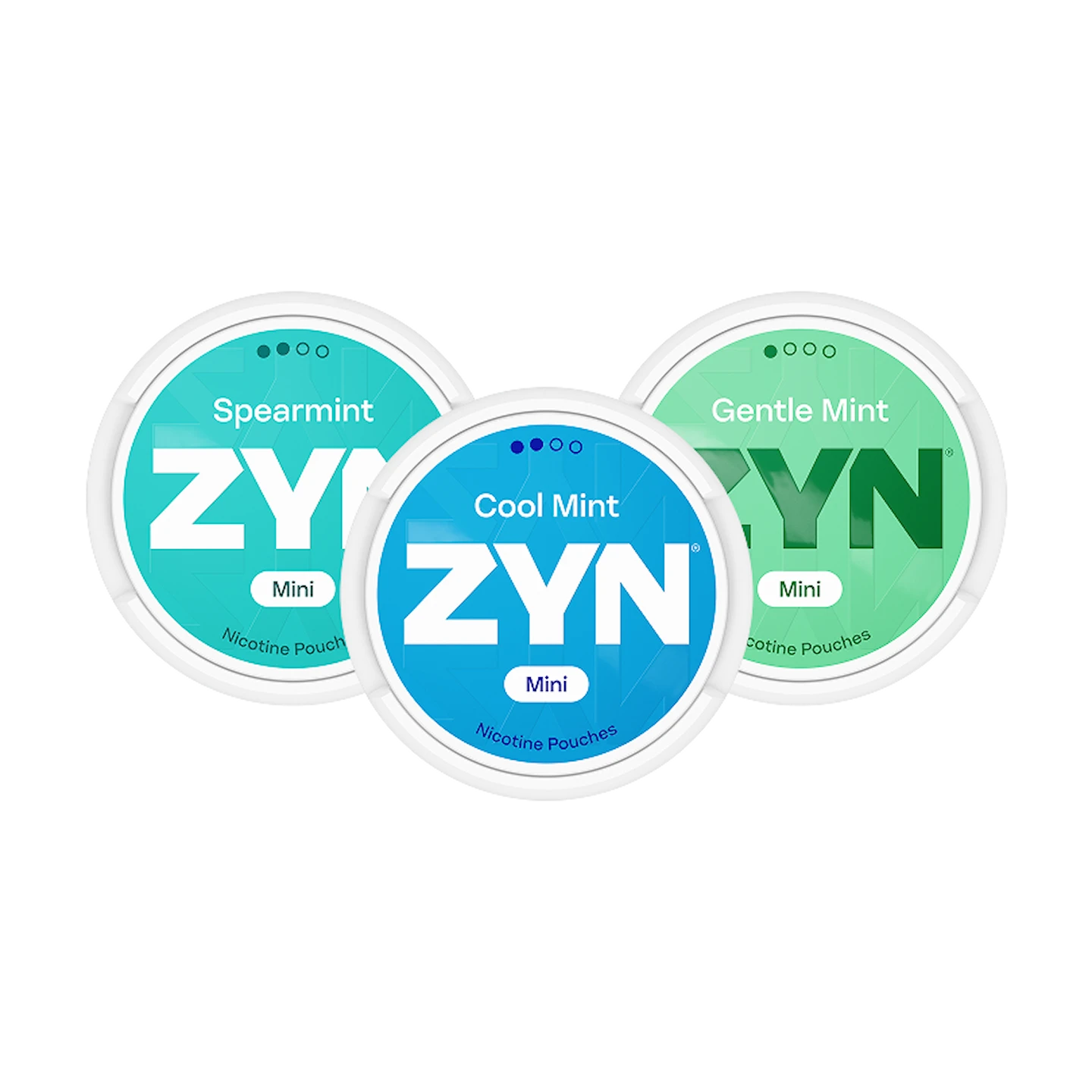 ZYN Mixpaket Mint Mini